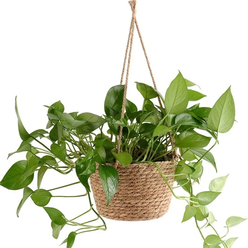 Jute hanging planter basket with trailing green plant