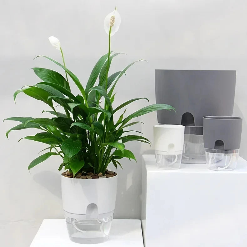 Self-Watering Plant Pot - Clear Double Layer Flowerpot with Cotton Wick and Fill Port