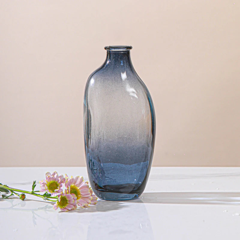 Retro Glass Vase - Thick Glass Bud Vase for Hydroponics and Table Decor