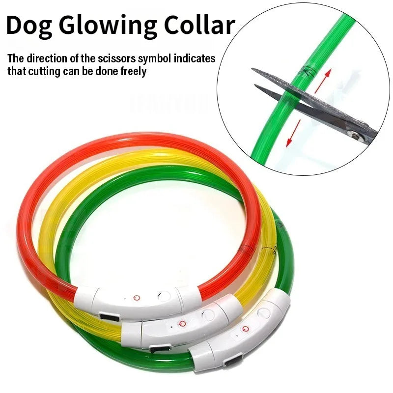 Light Up Dog Collar - Rechargeable Fiber Optic Glow Collar for Night Walks