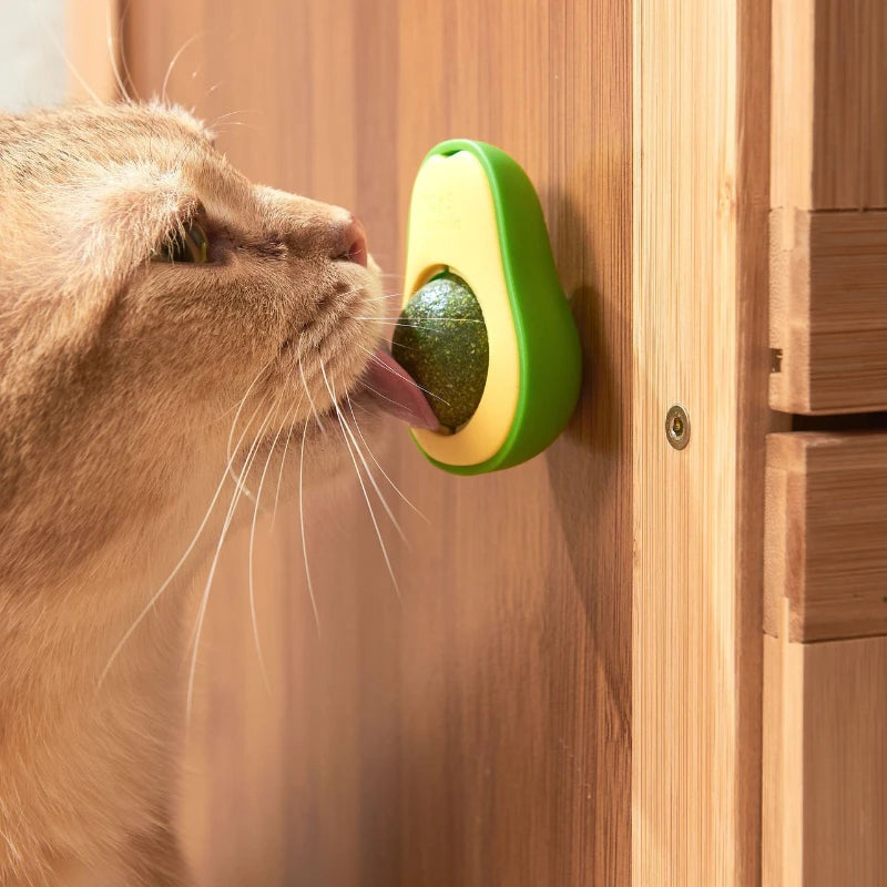 Avocado Catnip Ball - Wall Mounted Rotating Cat Toy for Teeth Cleaning and Play