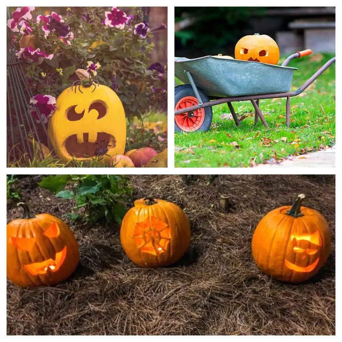 Pumpkin Carving Kit 8 Piece - Stainless Steel Halloween Carving Tools for Adults and Kids