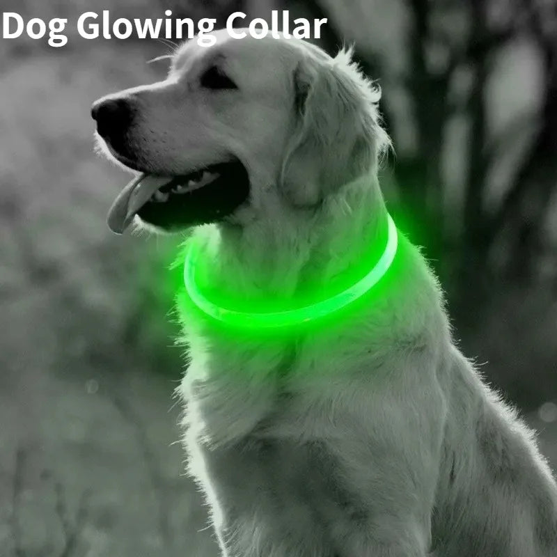 Light Up Dog Collar - Rechargeable Fiber Optic Glow Collar for Night Walks