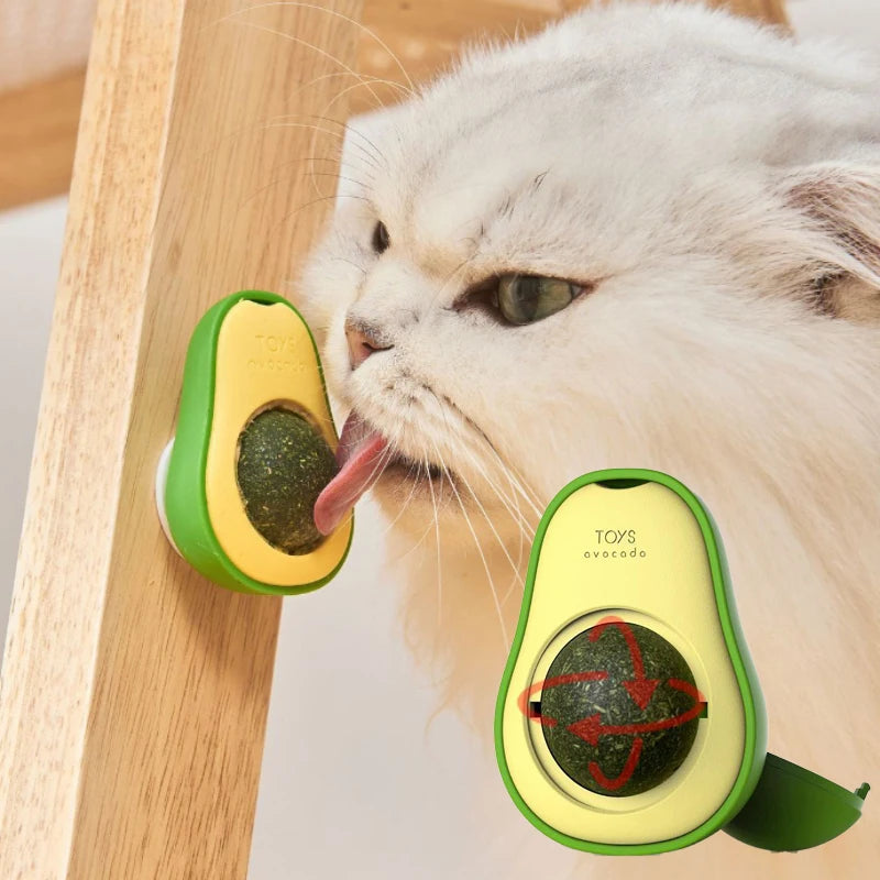 Avocado Catnip Ball - Wall Mounted Rotating Cat Toy for Teeth Cleaning and Play