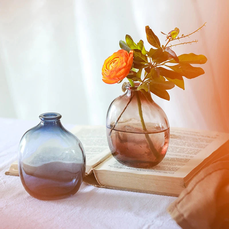 Retro Glass Vase - Thick Glass Bud Vase for Hydroponics and Table Decor