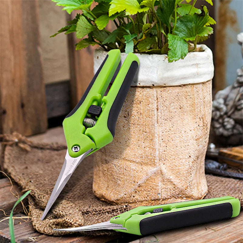 Pruning Shears 6.5 Inch - Stainless Steel Garden Scissors and Bonsai Hand Pruners