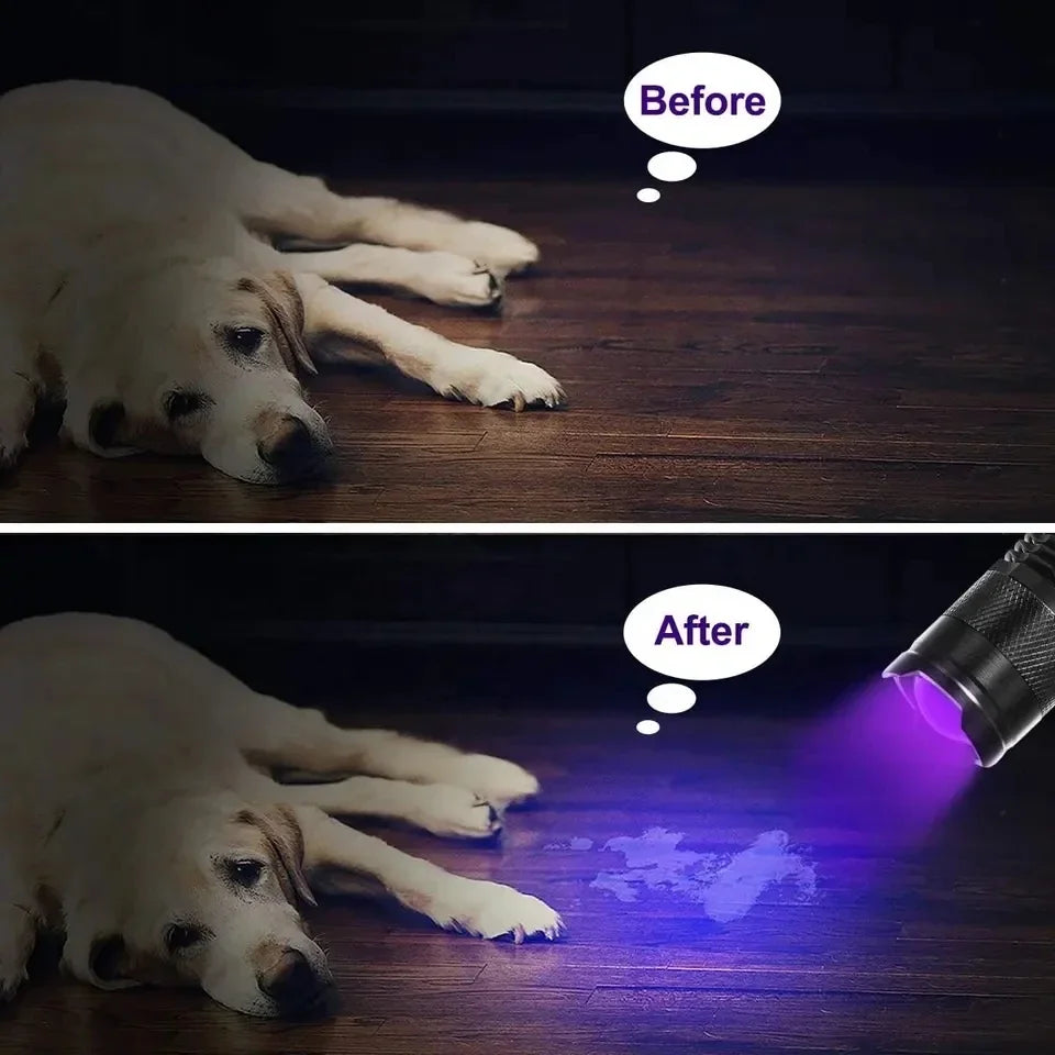 LED UV Flashlight - Zoomable 365nm and 395nm Blacklight Torch, Pocket Size