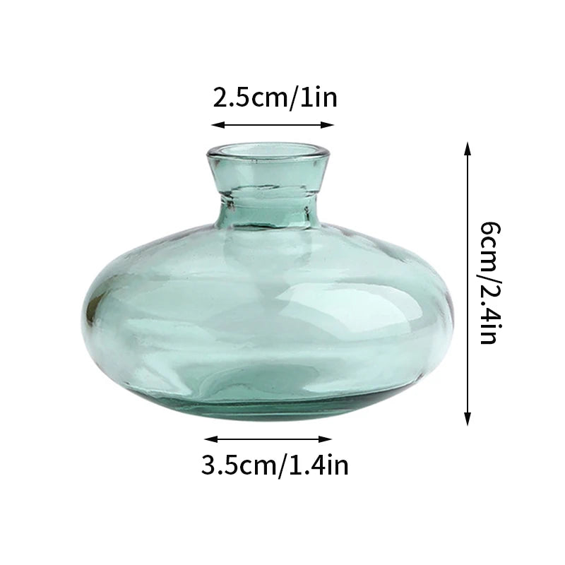 Retro Glass Vase - Thick Glass Bud Vase for Hydroponics and Table Decor