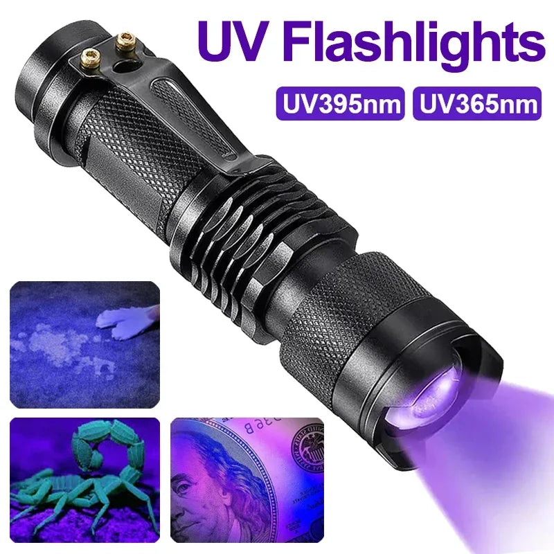 LED UV Flashlight - Zoomable 365nm and 395nm Blacklight Torch, Pocket Size
