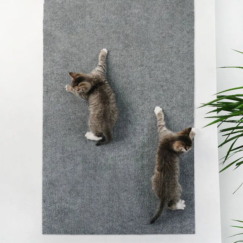 Self-Adhesive Cat Scratching Mat - Furniture Protector in 8 Sizes, 7 Colours