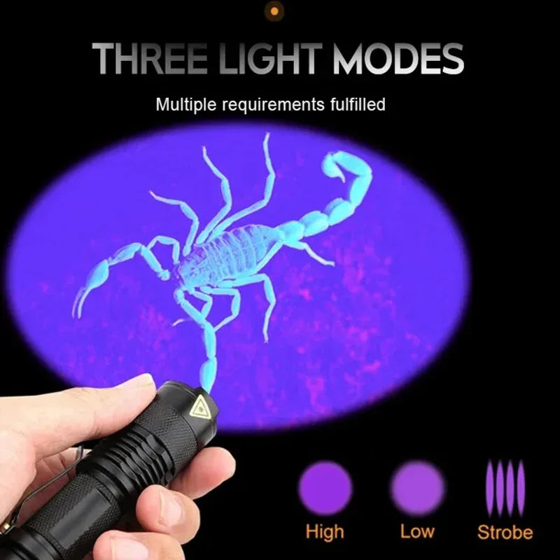 LED UV Flashlight - Zoomable 365nm and 395nm Blacklight Torch, Pocket Size