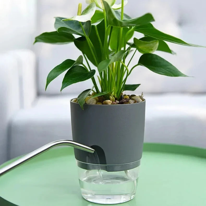 Self-Watering Plant Pot - Clear Double Layer Flowerpot with Cotton Wick and Fill Port