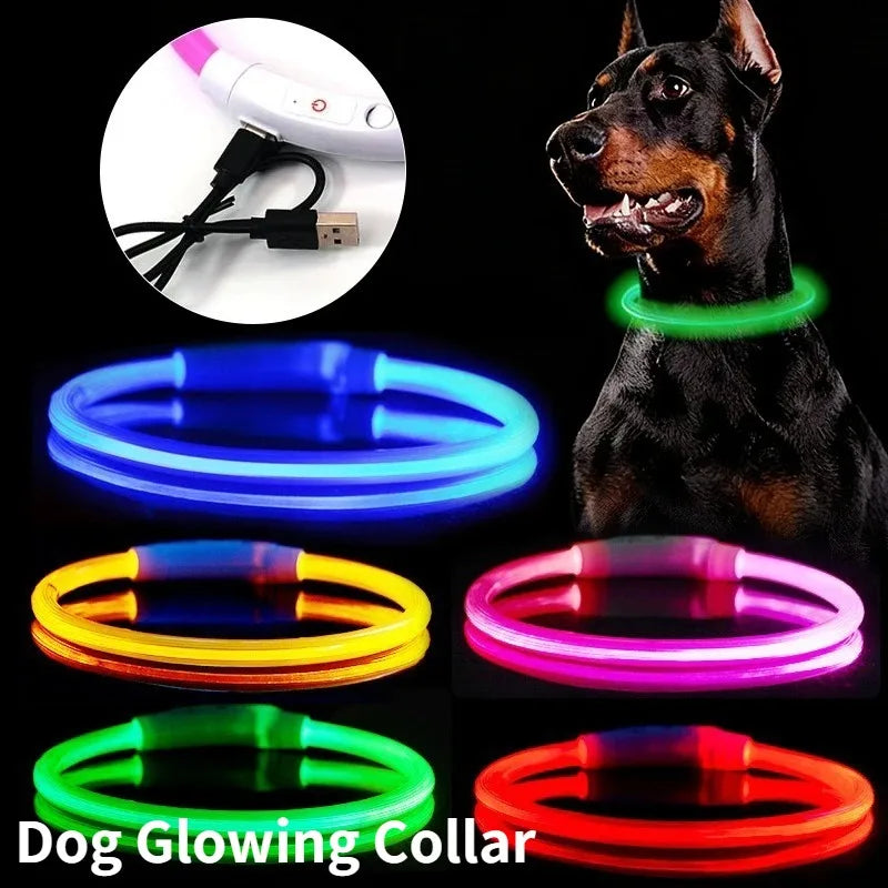 Light Up Dog Collar - Rechargeable Fiber Optic Glow Collar for Night Walks